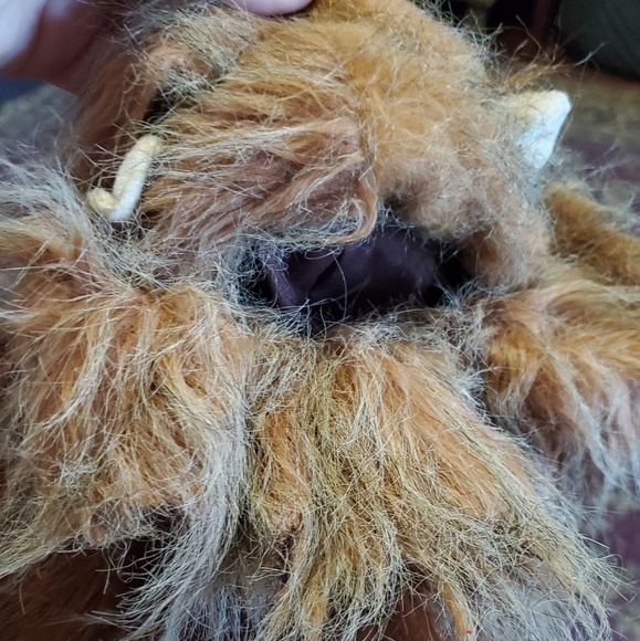 ♧ Pet Costume, XS, new - Picture 4 of 7